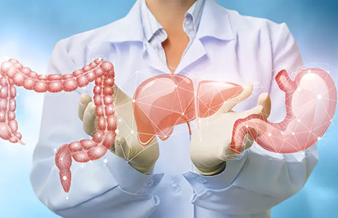 Metabolic illustration